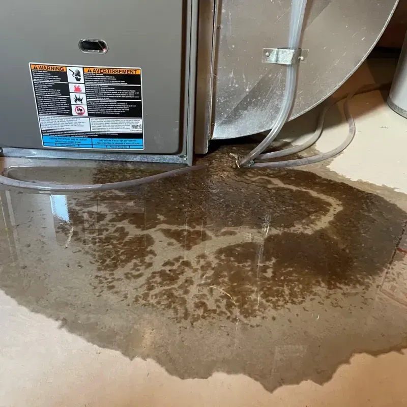 Appliance Leak Cleanup in Huntley, IL